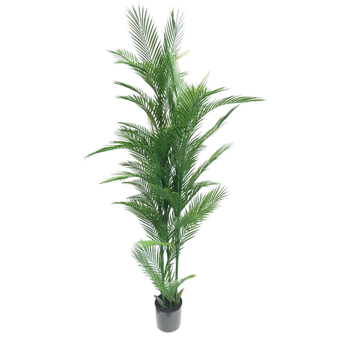 Phoenix Palm Tree Real Touch UV Resistant 180cm