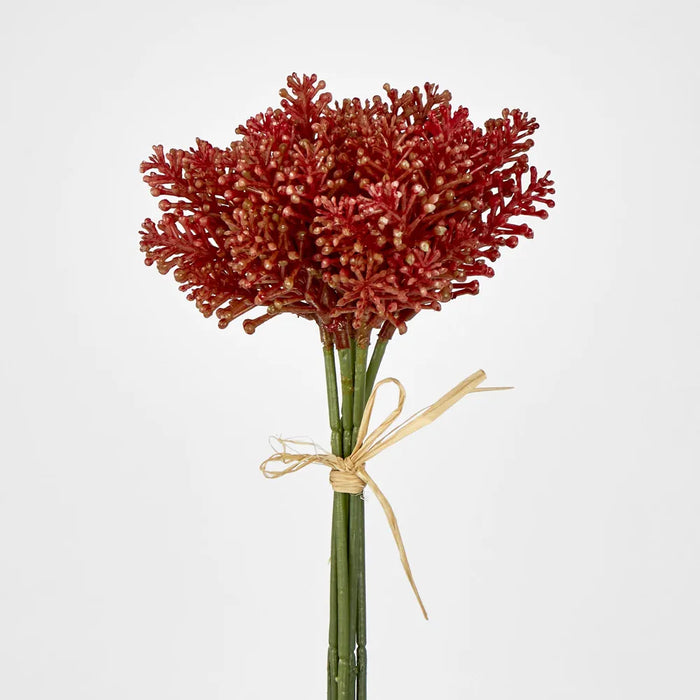 Pine Berry 20cm Orange Pack of 36