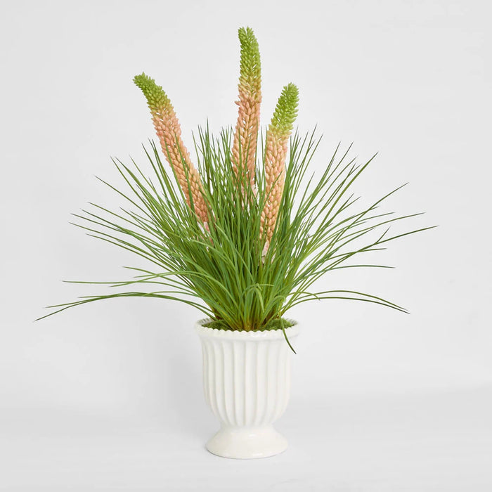 Pink Foxtail Arrangement 80cm in White Pot