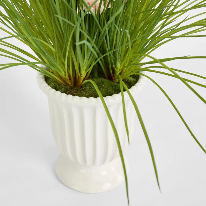 Pink Foxtail Arrangement 80cm in White Pot