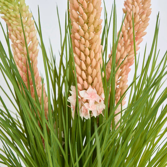 Pink Foxtail Arrangement 80cm in White Pot