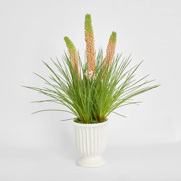 Pink Foxtail Arrangement 80cm in White Pot