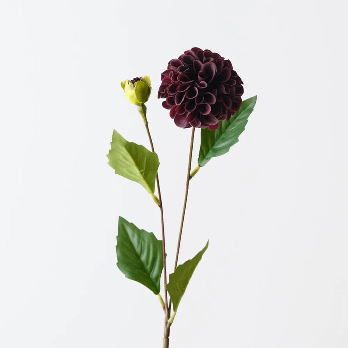 Pompon Dahlia Spray Black Plum, 45cm Pack of 12