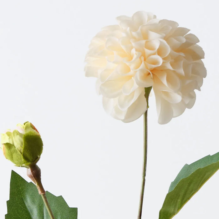 Pompon Dahlia Spray Cream, 45cm Pack of 12