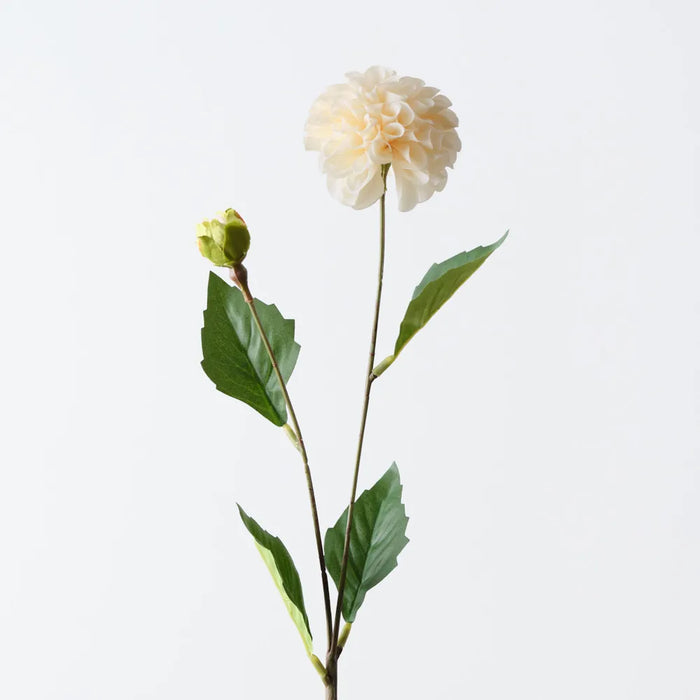 Pompon Dahlia Spray Cream, 45cm Pack of 12