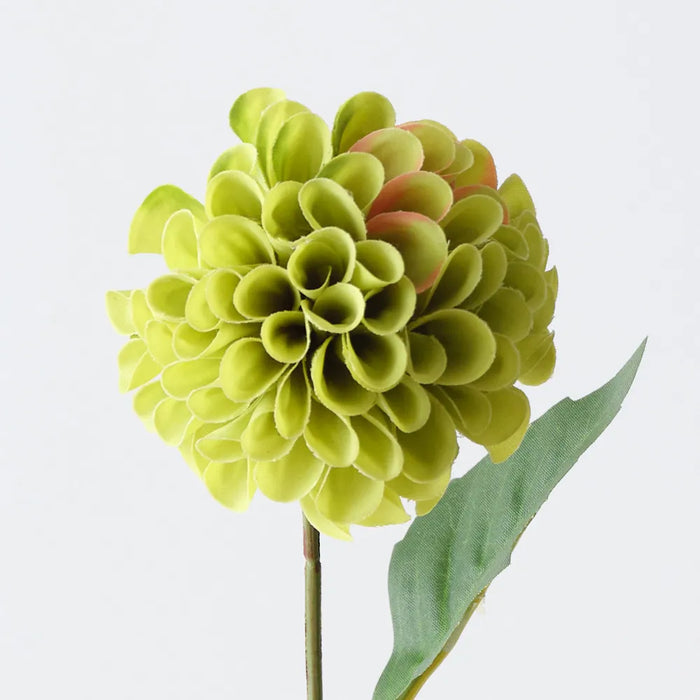 Pompon Dahlia Spray Green, 45cm Pack of 12