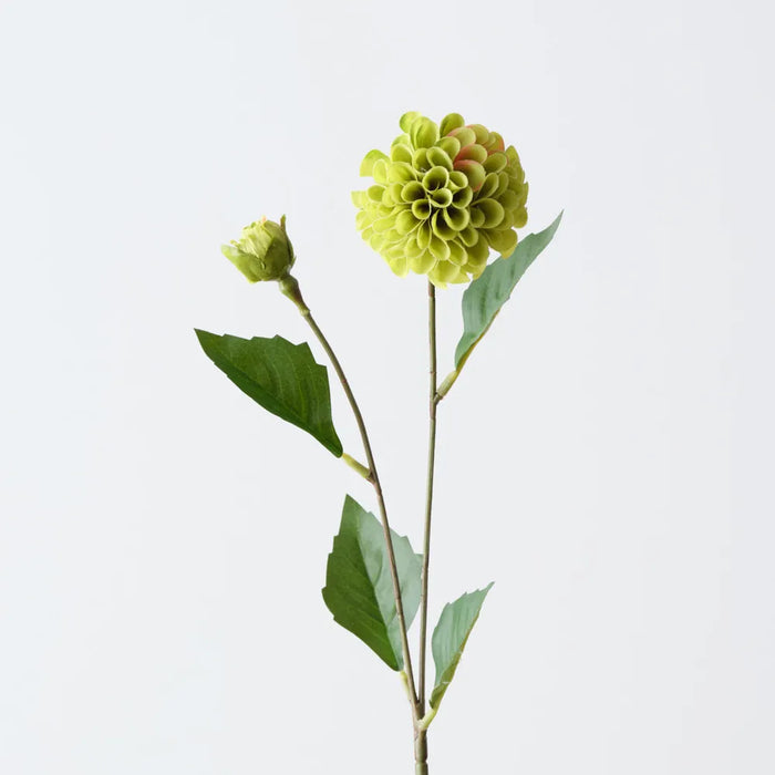 Pompon Dahlia Spray Green, 45cm Pack of 12