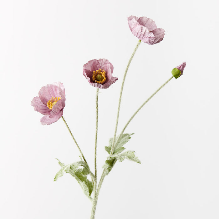 Poppy Iceland Spray Lavender 60cm Set of 12