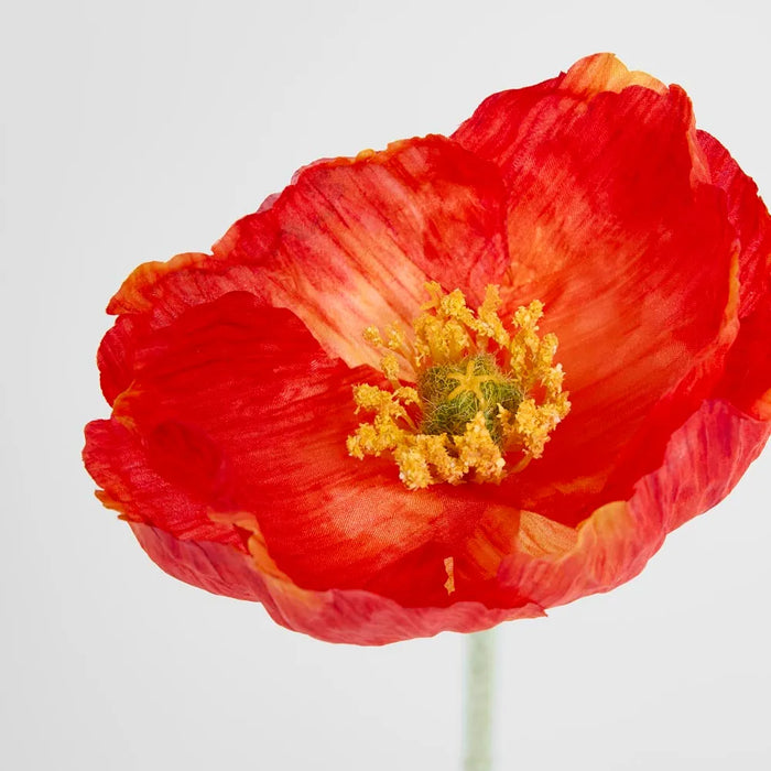 Poppy Stem Red 58cm Pack of 24