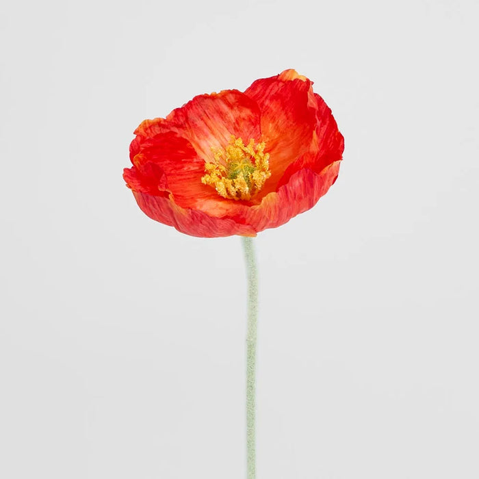 Poppy Stem Red 58cm Pack of 24