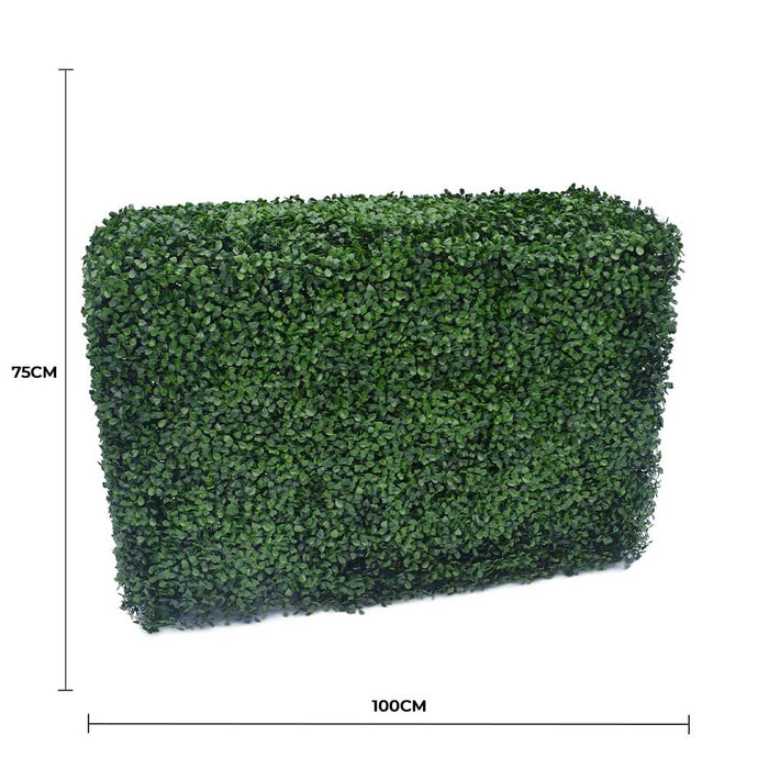 Artificial Boxwood Hedge 75cmx100cm - FLORA DESIGNS