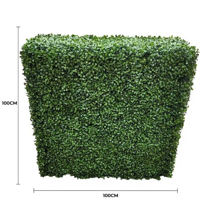 Boxwood Hedge X 100cm - FLORA DESIGNS