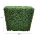 Boxwood Hedge X 100cm - FLORA DESIGNS