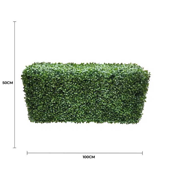 Boxwood Hedge X 100cmx50cm - FLORA DESIGNS