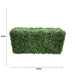 Boxwood Hedge X 100cmx50cm - FLORA DESIGNS