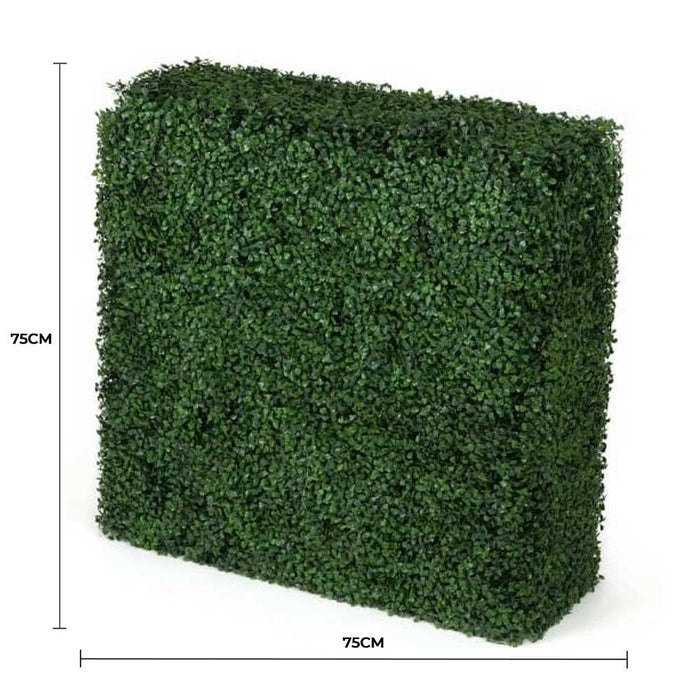Artificial Boxwood Hedge 75cmx75cm - FLORA DESIGNS