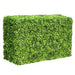 Mixed Boxwood Hedge X 100cmx50cm - FLORA DESIGNS