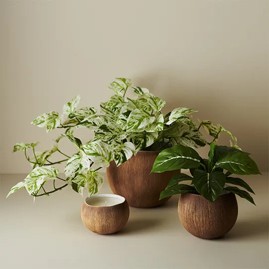 Pot Calypso Brown 17cm Pack of 2