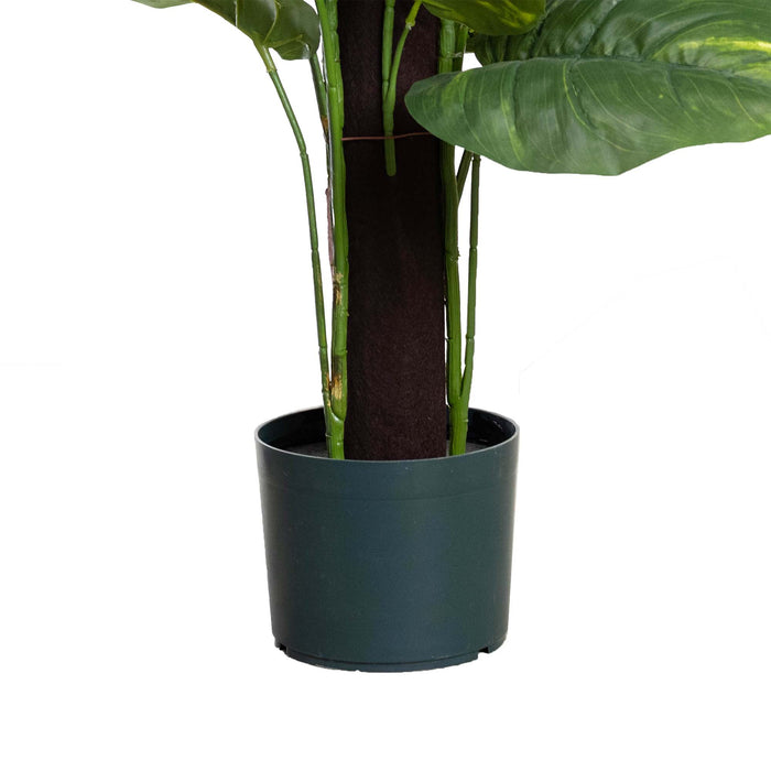 Pothos On Pole 137cm