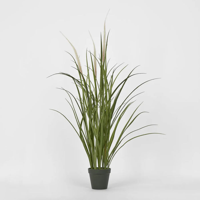 Potted Grass Bush in Pot 95cm Pack of 2