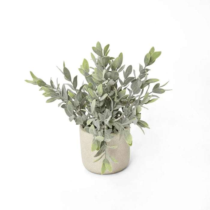 Potted Melon Seed Leaves 26cm Green Pack of 4