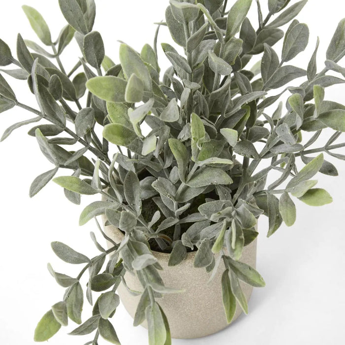 Potted Melon Seed Leaves 26cm Green Pack of 4