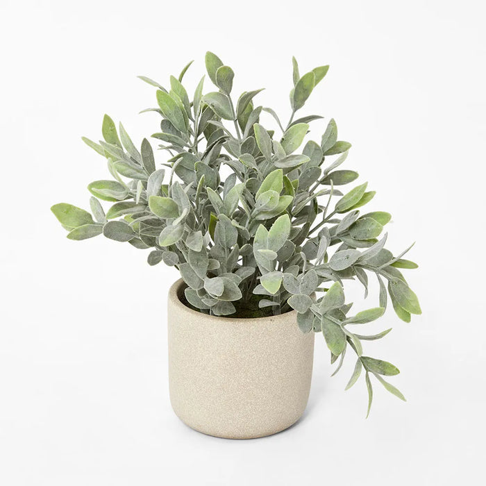 Potted Melon Seed Leaves 26cm Green Pack of 4