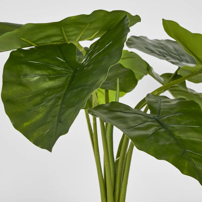 Potted Real Touch Philodendron 50cm Set of 2