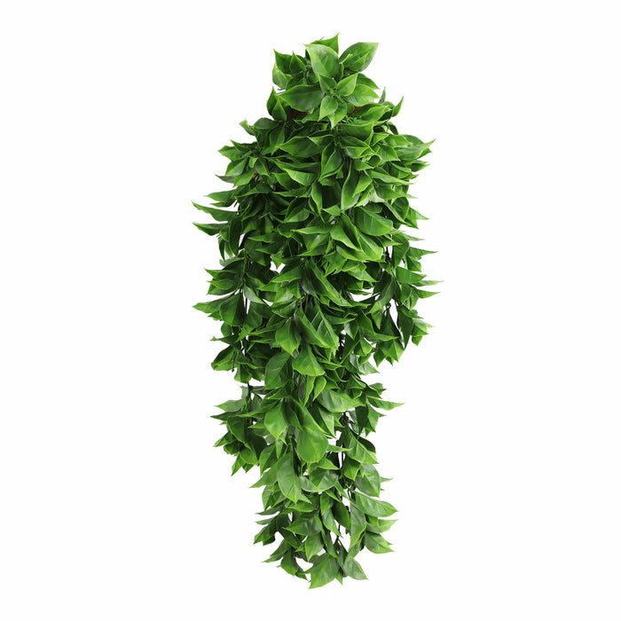 Dense Flowering Pothos Hanging Bush UV Resistant 72cm Vivid Green