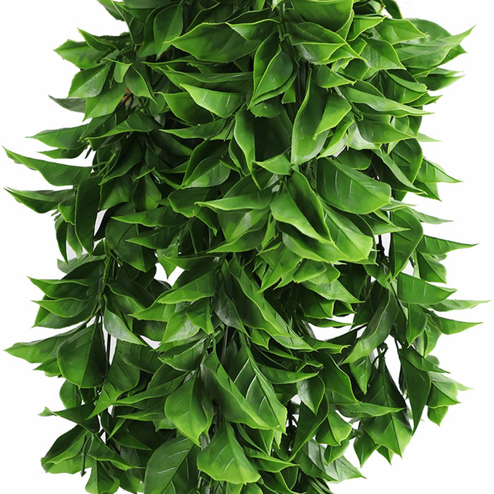 Dense Flowering Pothos Hanging Bush UV Resistant 72cm Vivid Green