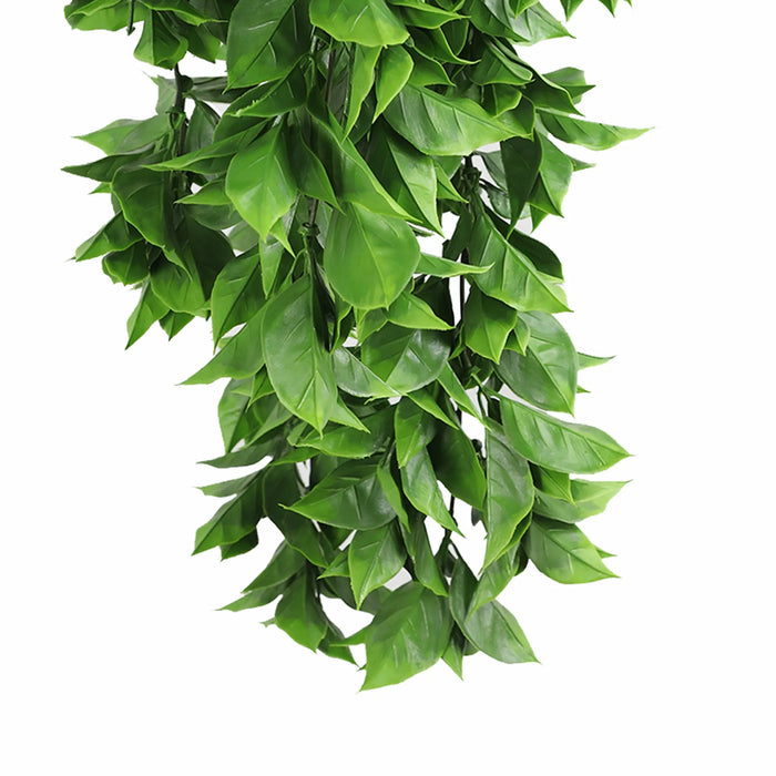 Dense Flowering Pothos Hanging Bush UV Resistant 72cm Vivid Green