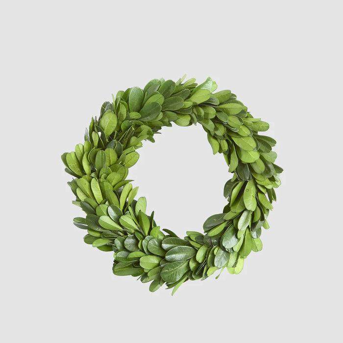 Preserved Boxwood Mini Wreath 13cm Pack of 4