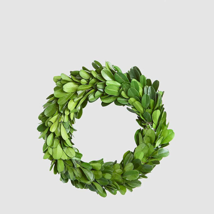 Preserved Boxwood Mini Wreath 13cm Pack of 4