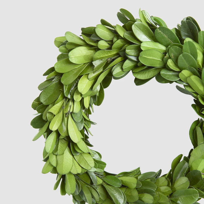 Preserved Boxwood Mini Wreath 13cm Pack of 4