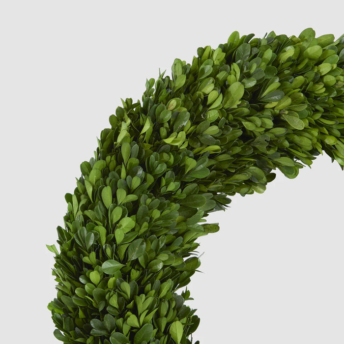 Preserved Boxwood Wreath 43cm