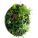 Slimline Artificial Green Wall Disc Art Colour 60cm - FLORA DESIGNS