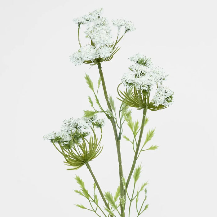Queen Anne's Lace Spray White 72cm Pack of 12