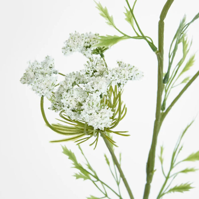 Queen Anne's Lace Spray White 72cm Pack of 12