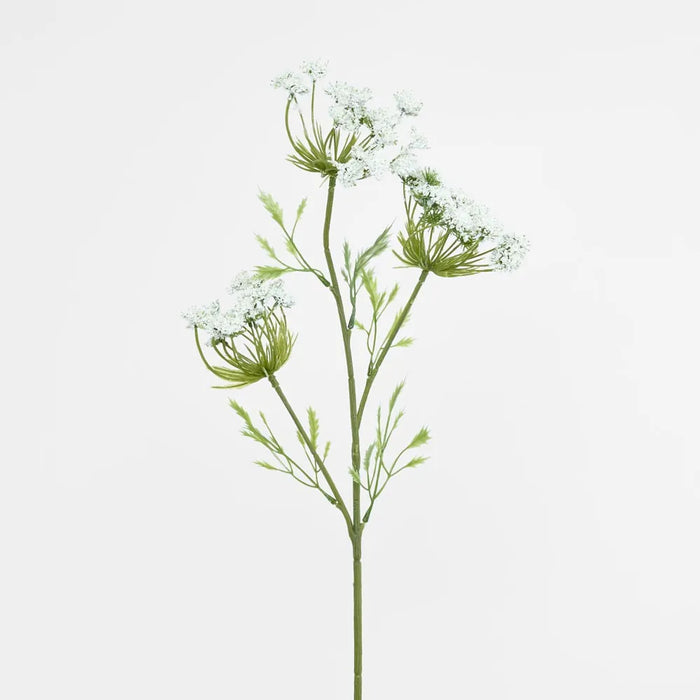 Queen Anne's Lace Spray White 72cm Pack of 12