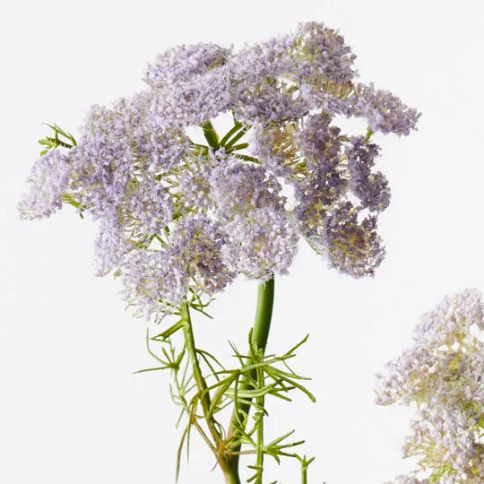 Queen Annes Lace Spray Lavender 73cm - Pack of 12