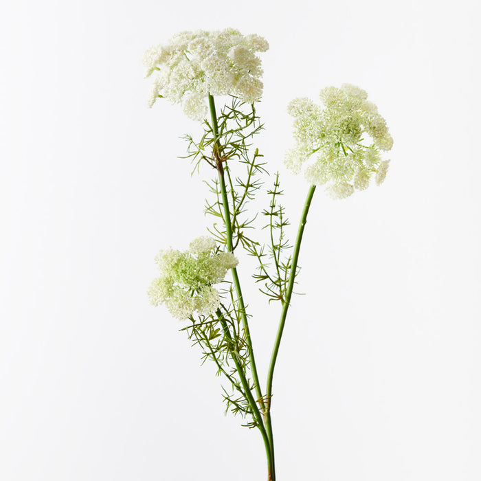 Queen Annes Lace Spray White 73cm - Pack of 12