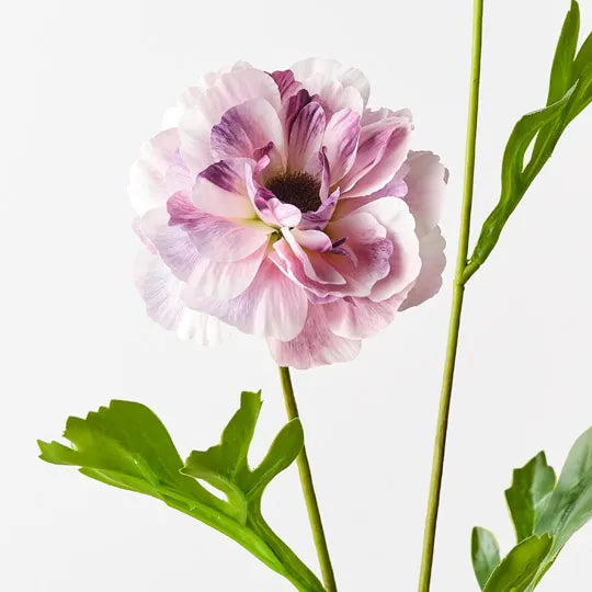 Ranunculus Spray Lavender 60cm - Pack of 12