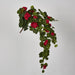 Red Hanging Geranium Bush 182cm - Pack of 6