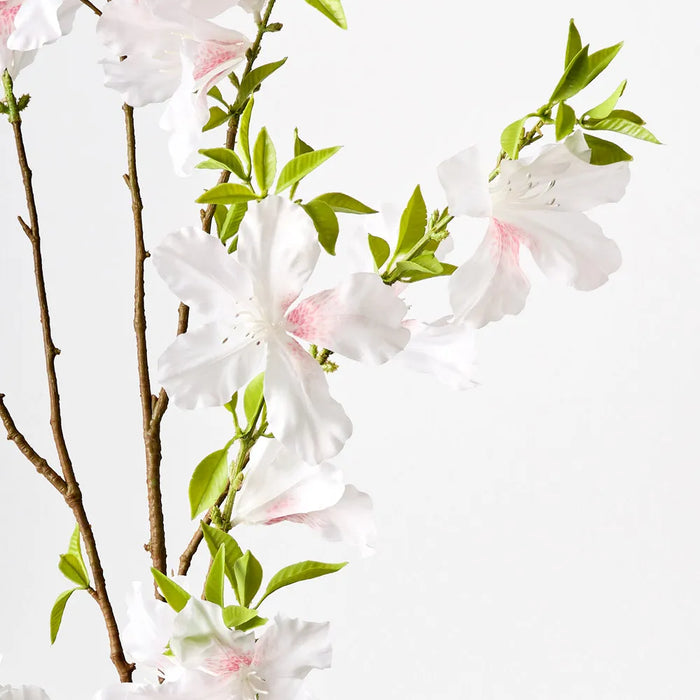 Rhododendron Spray White Pink 123cm - Pack of 12