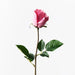 Rose Bud Celine Fuschia 58cm - Pack of 24