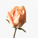 Rose Bud Celine Orange 58cm - Pack of 24