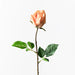 Rose Bud Celine Orange 58cm - Pack of 24