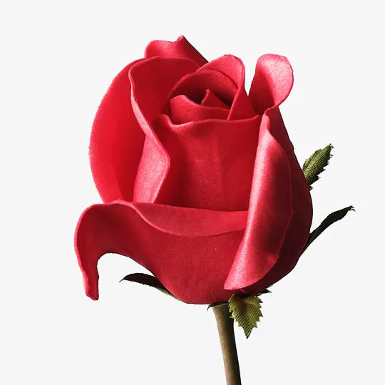 Rose Bud Celine Red 58cm - Pack of 24