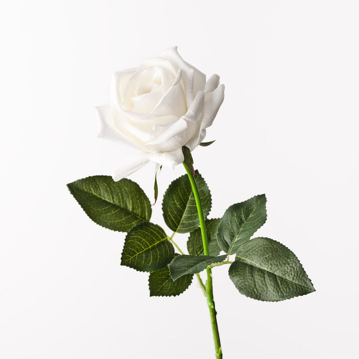 Rose Kim Winter White 65cm Pack of 12