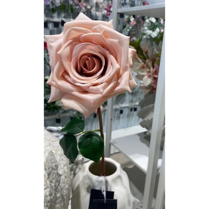 Rose Olivia Dusty Pink 72cm Pack of 12